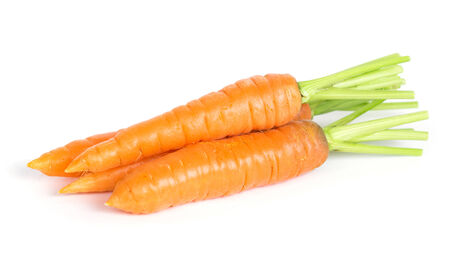 Fresh carrots on white backgroundの写真素材