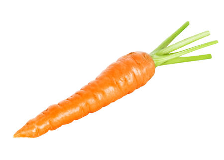 Fresh carrot on white backgroundの写真素材