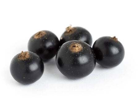Black currants closeup on white background の写真素材