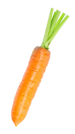 Fresh carrot on white backgroundの写真素材