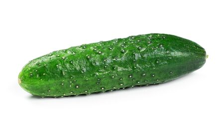 Fresh green cucumber on white backgroundの写真素材
