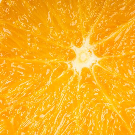 Orange closeupの写真素材