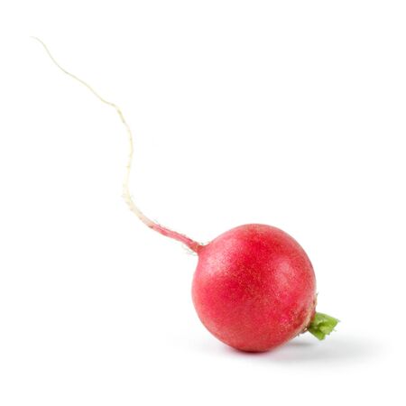 Fresh red radishes on white backgroundの写真素材