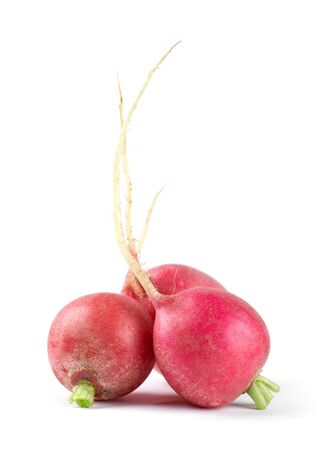 Fresh red radishes on white backgroundの写真素材