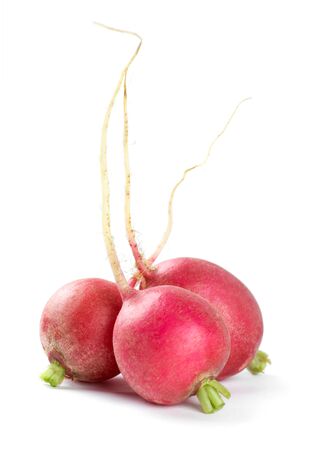 Fresh red radishes on white backgroundの写真素材