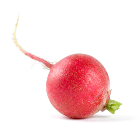 Fresh red radishes on white backgroundの写真素材