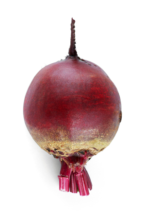 Fresh beet on white backgroundの写真素材