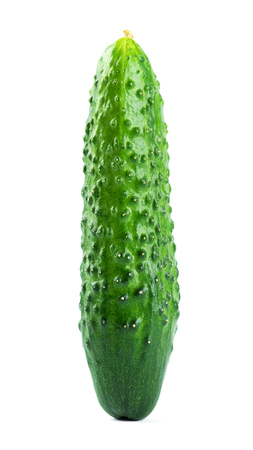 Fresh cucumber on white backgroundの写真素材