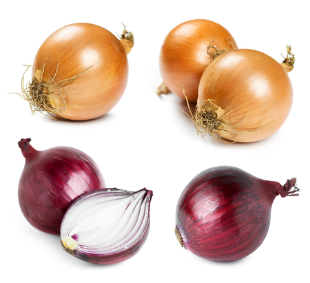 Ripe onion on white backgroundの写真素材