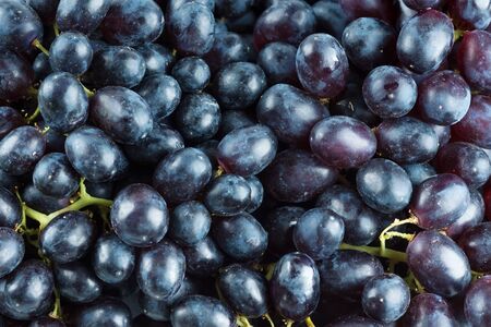 Grapes closeupの写真素材