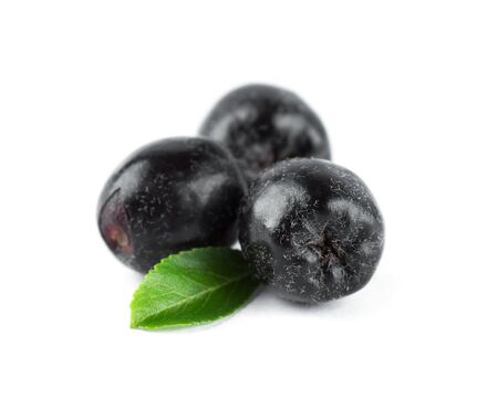 Fresh ripe chokeberry on white backgroundの写真素材