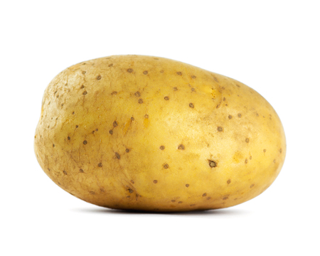 Potato closeup on white backgroundの写真素材