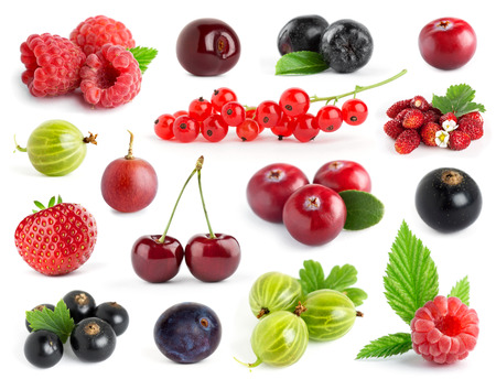 Fruits. Collection of berries on white background. Fresh foodの写真素材