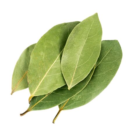 Aromatic bay leaves isolated on white backgroundの写真素材