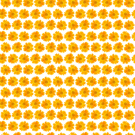 Seamless pattern of beautiful yellow flowers の写真素材