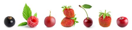 Fruits. Collection of sweet berries on white backgroundの写真素材