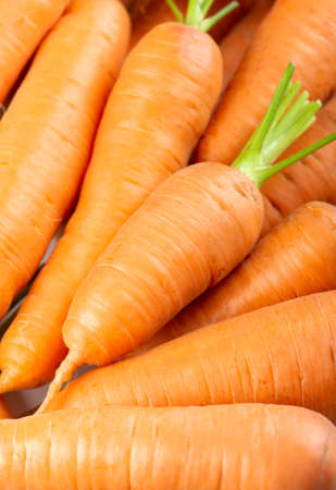 Carrot background. Fresh ripe vegetablesの写真素材