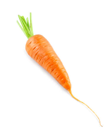Carrot on white background. Fresh ripe vegetablesの写真素材
