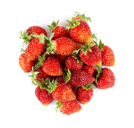 Wild strawberry isolated on white background. Top viewの写真素材