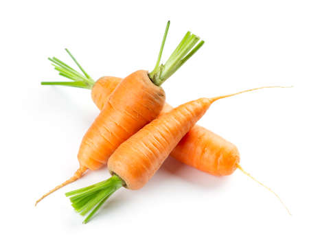 Carrot on white background. Fresh ripe vegetablesの写真素材