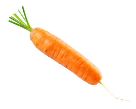 Carrot isolated on white background. Fresh ripe vegetables