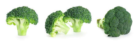 Fresh broccoli on white backgroundの写真素材