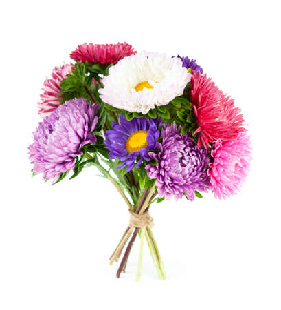 Aster flower bouquet on white backgroundの写真素材