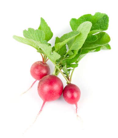 Radish on white background. Fresh ripe vegetablesの写真素材