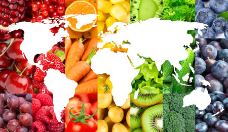 World map of fruits and vegetables. Fresh food. Conceptの写真素材