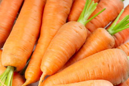 Carrot. Background. Fresh ripe vegetablesの写真素材