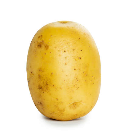 Potato on white backgroundの写真素材