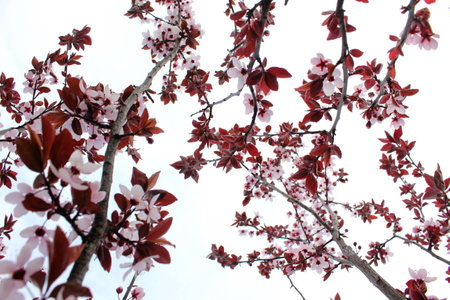 Infinityの写真素材