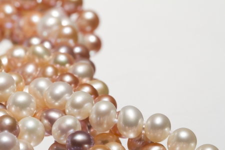 freshwater pearlの写真素材