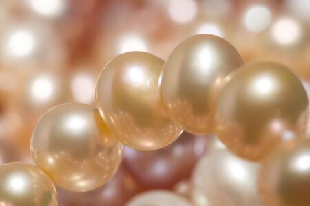 Orange pearlの写真素材