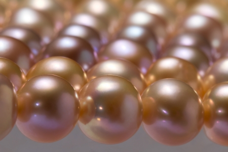 freshwater pearl backgroundの写真素材