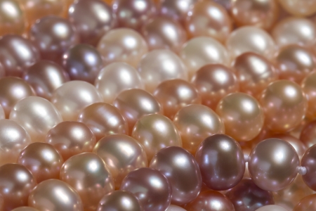freshwater pearl backgroundの写真素材