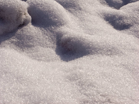 snowの写真素材