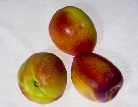 Closeup of peachの写真素材