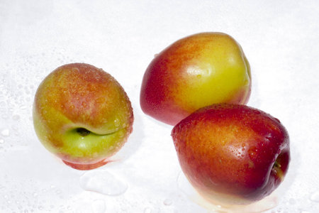 Closeup of nectarineの写真素材