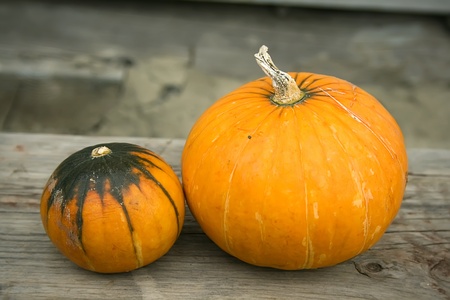The three bright pumpkins on a wooden bench