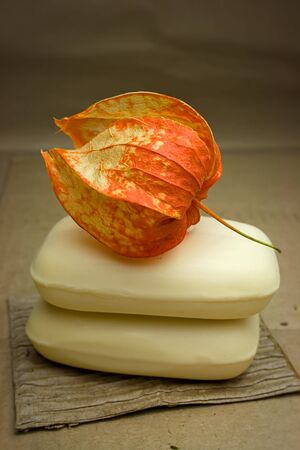 Two pieces of soap and orange physalis