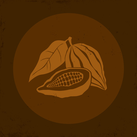 Illustration of a Cocoa bean in brown backgroundのイラスト素材