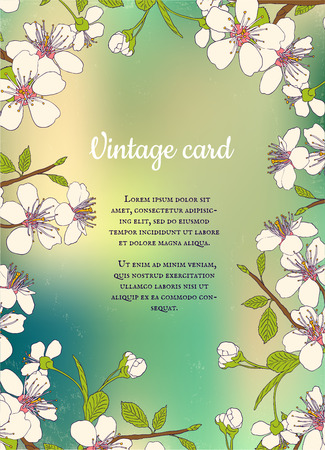 Retro postcard with cherry blossomのイラスト素材