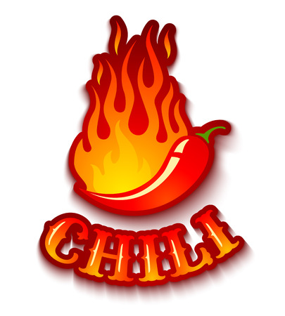Vector illustration of a chili pepper in fireのイラスト素材