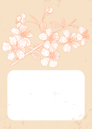 Vintage card with flowers of the cherry blossomsのイラスト素材
