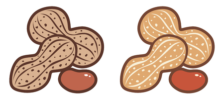 Vector illustration of peanuts. Flat vector icons of peanuts.のイラスト素材