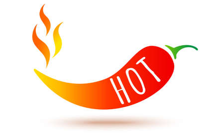 Vector illustration of chilli pepper with flame. Vector icon of red chili pepper in fire.のイラスト素材