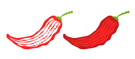 Vector illustration of chilli pepper. Vector icon of red chili pepper in vintage style.のイラスト素材