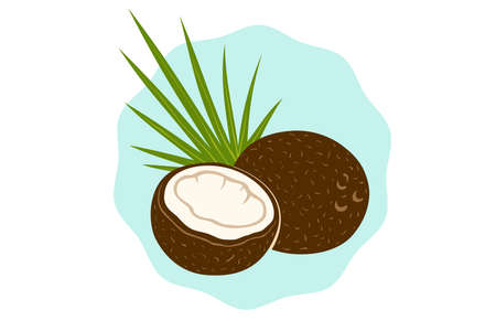 Vector emblem of coconut with palm leaf in retro style. Vector illustration of coconut for shop. tropical logo.のイラスト素材
