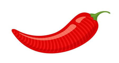 Vector vintage emblem of chilli pepper in engraving style. Vector emblem jalapeno or chilli peppers. Chili pepper for Thai or Mexican food.のイラスト素材
